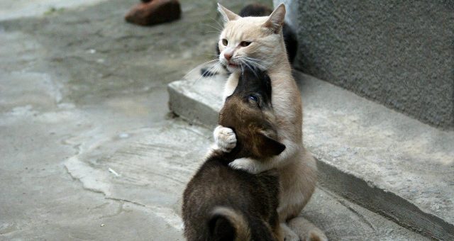 Все мы хотим одного и того же