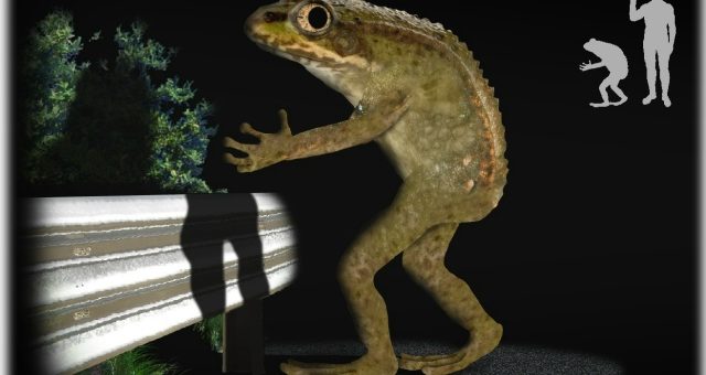 Лапка лягушачья